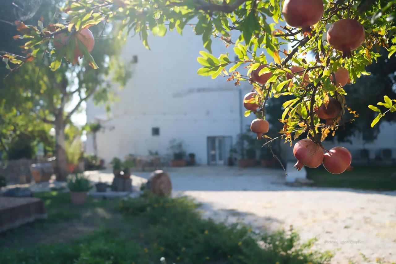 Masseria Giangrande - Rooms And Apartment פולינאנו א מארה מראה חיצוני תמונה