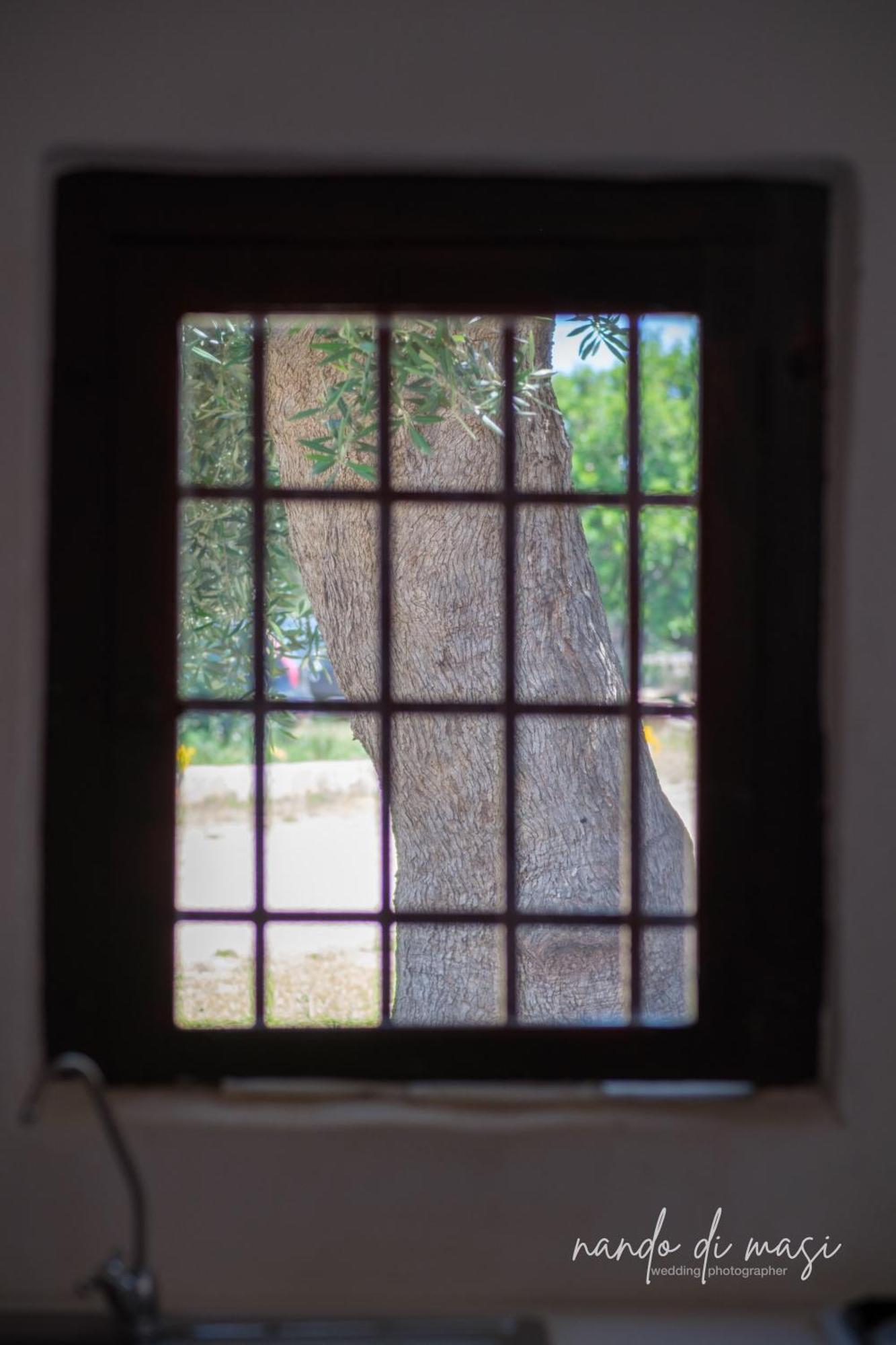 Masseria Giangrande - Rooms And Apartment פולינאנו א מארה מראה חיצוני תמונה