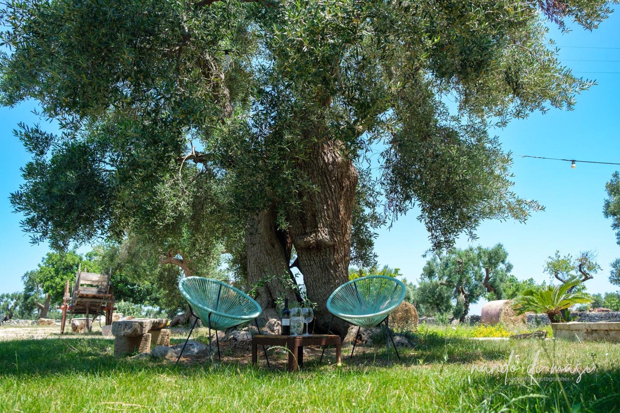Masseria Giangrande - Rooms And Apartment פולינאנו א מארה מראה חיצוני תמונה
